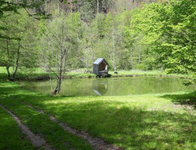 Etang de pêche numéro 1 avec une hutte